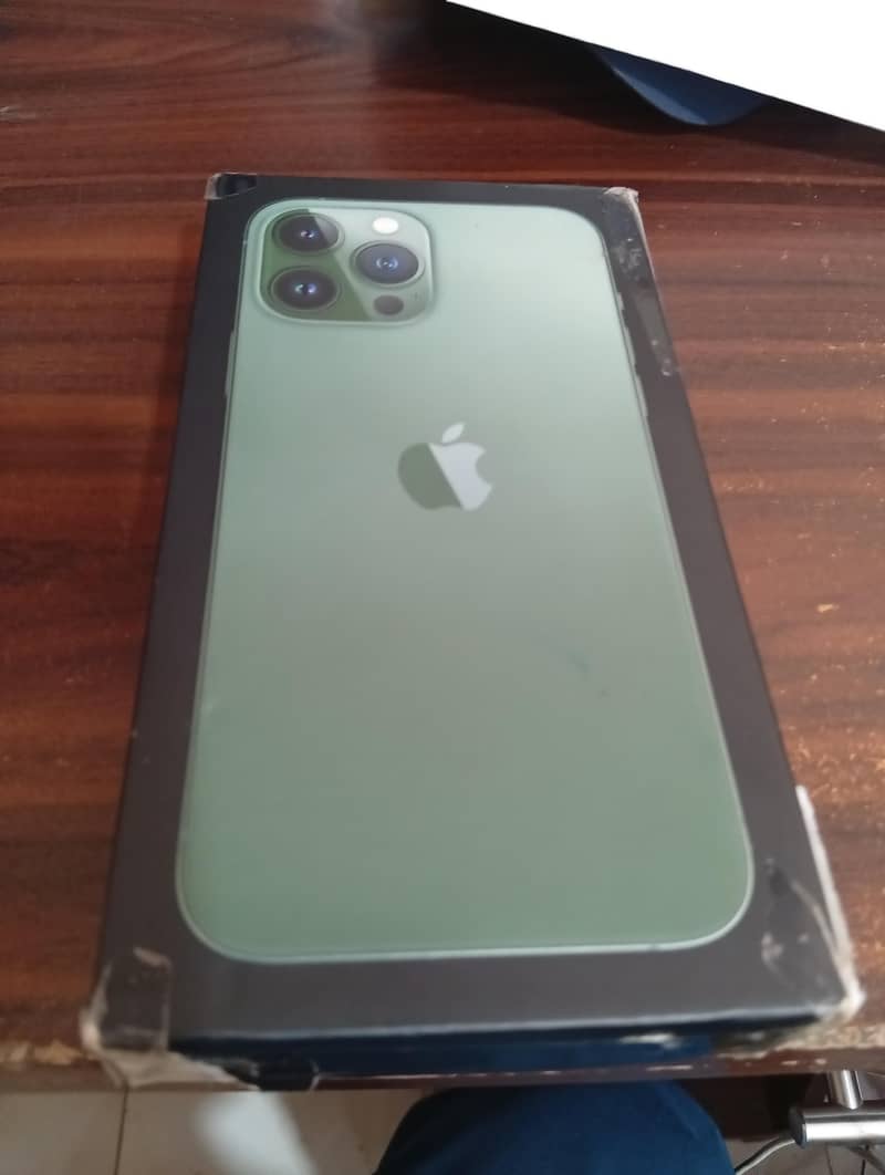 Apple iPhone 13 Pro Max 7