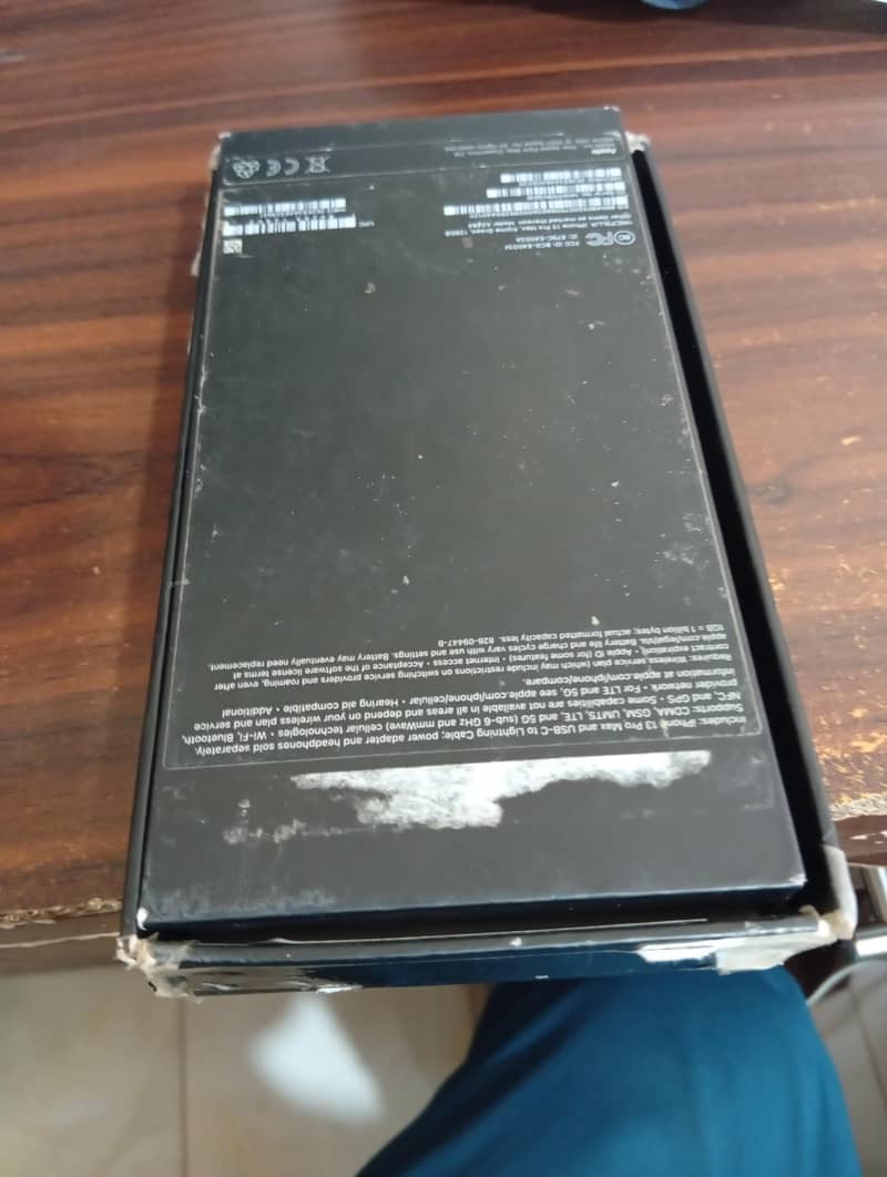 Apple iPhone 13 Pro Max 10
