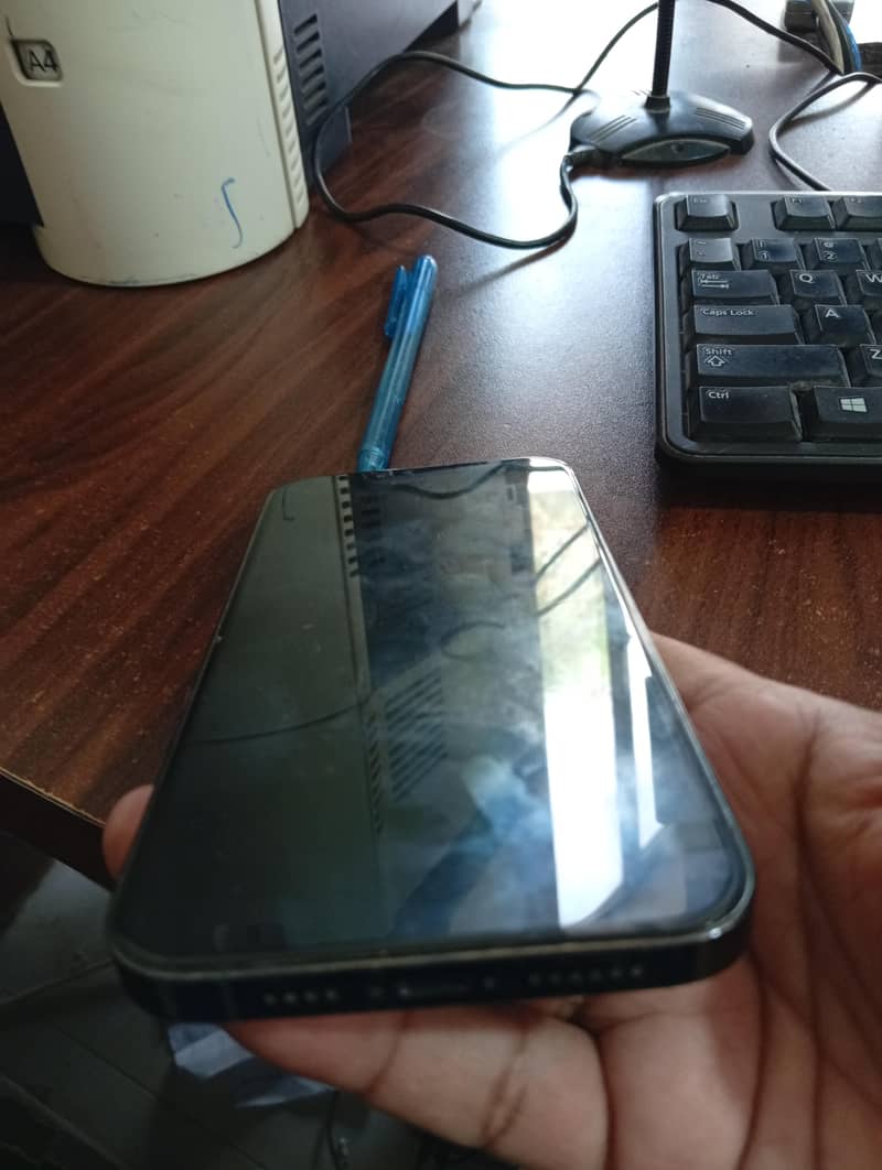 Apple iPhone 13 Pro Max 13