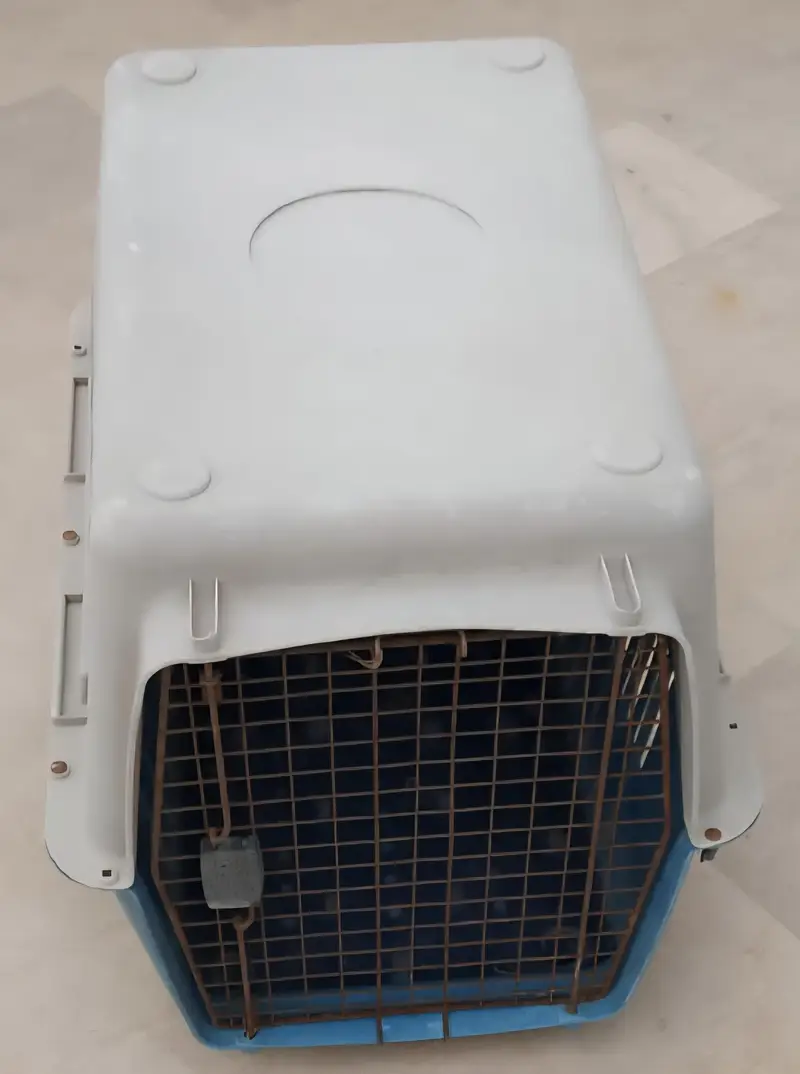 German Jet Boxes — photo 3