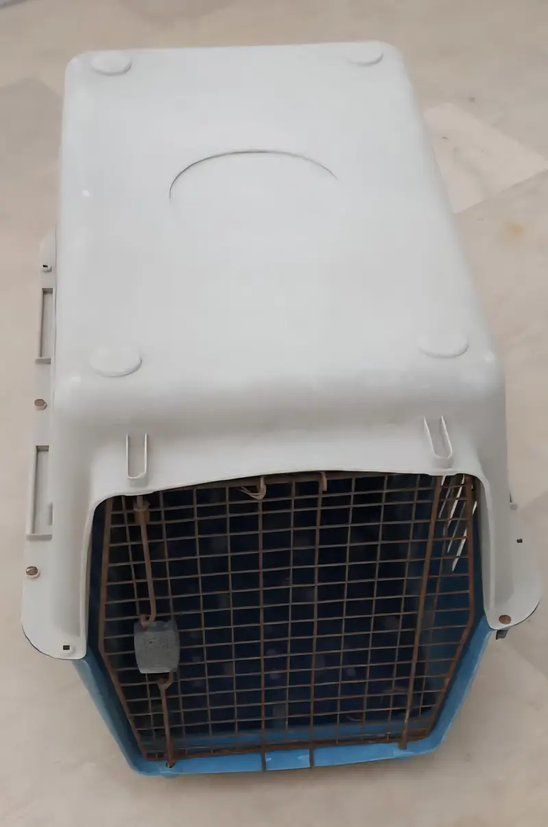 German Jet Boxes — photo 4