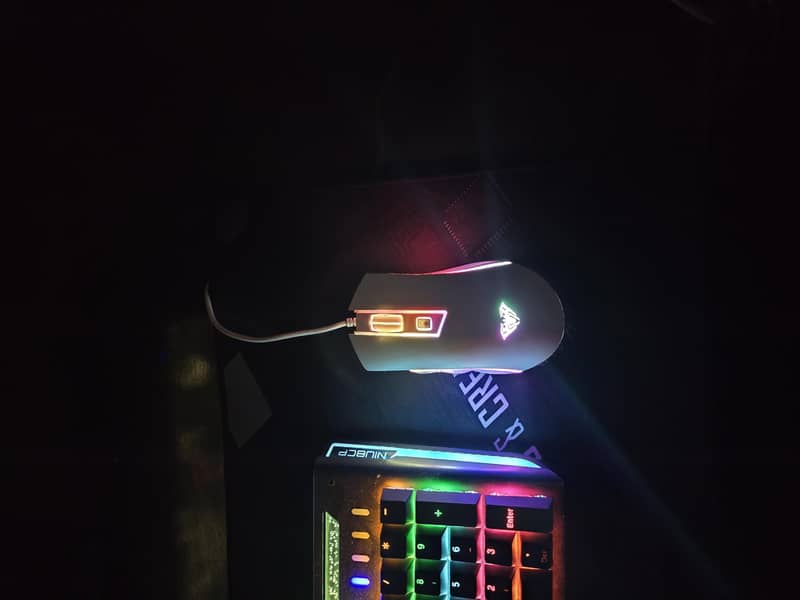 gaming and working setup 3
