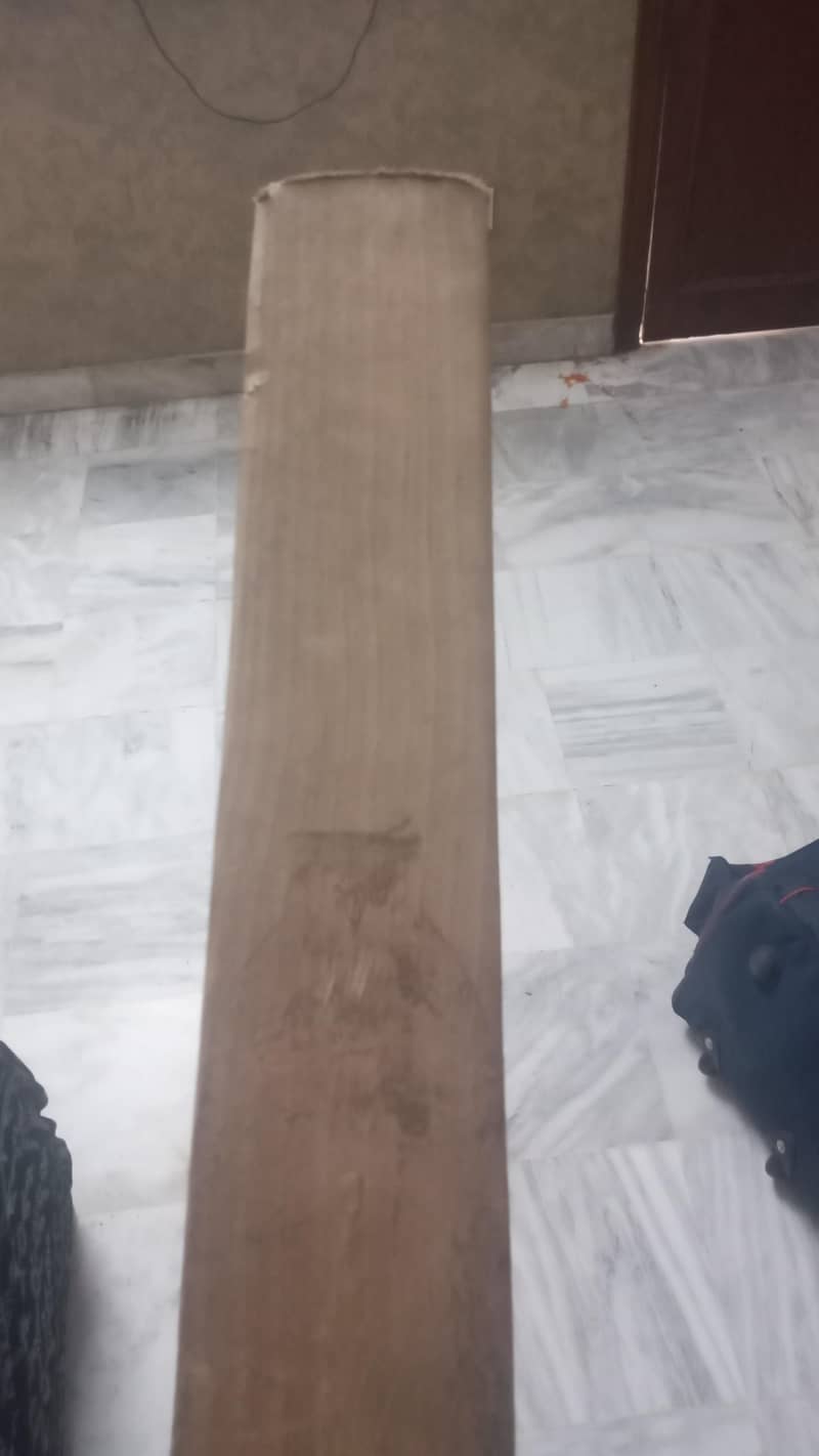 cricket kit 1