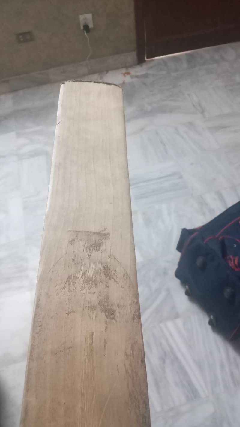 cricket kit 2