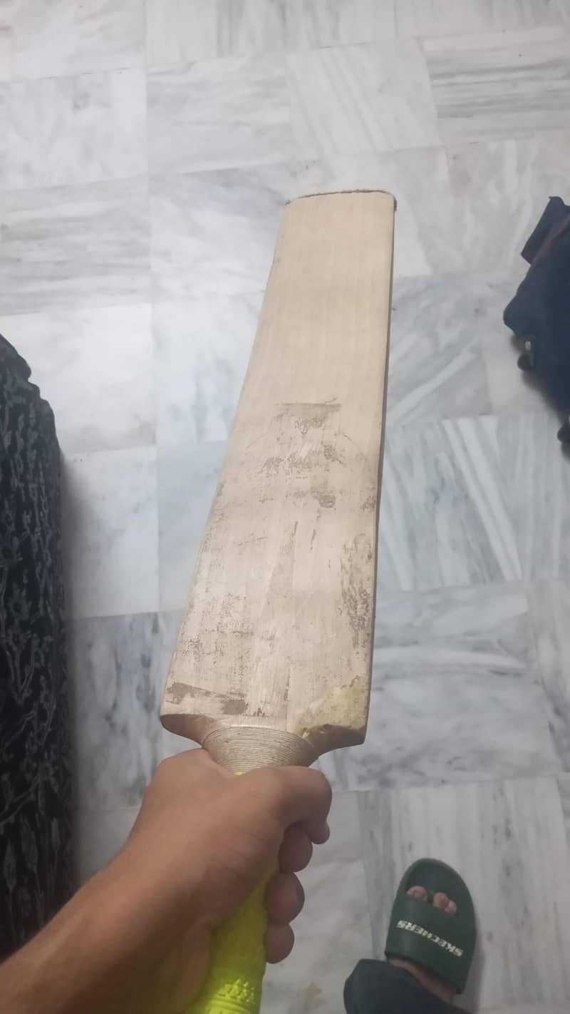 cricket kit 3