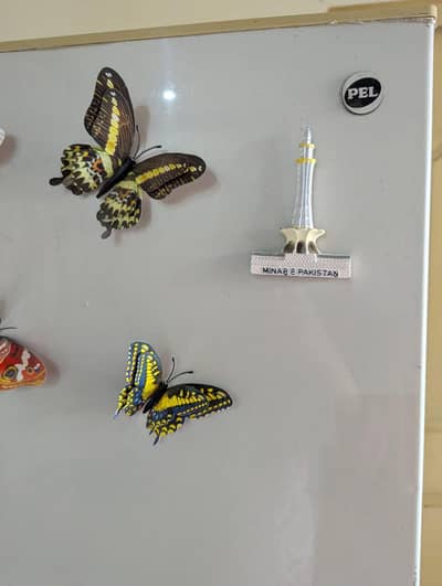 Pel  fridge