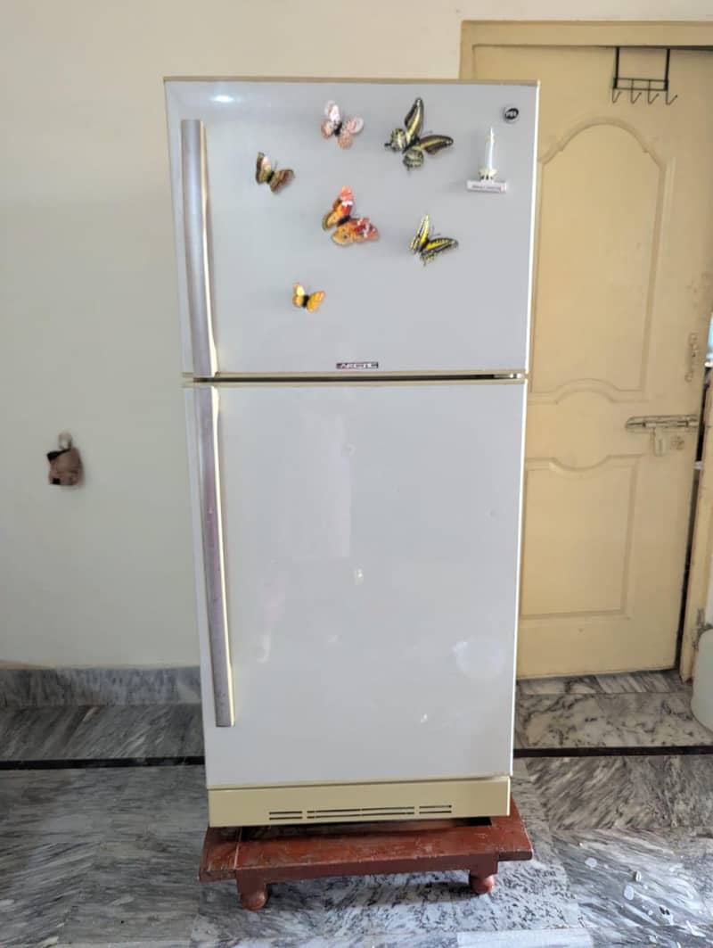 Pel  fridge 2