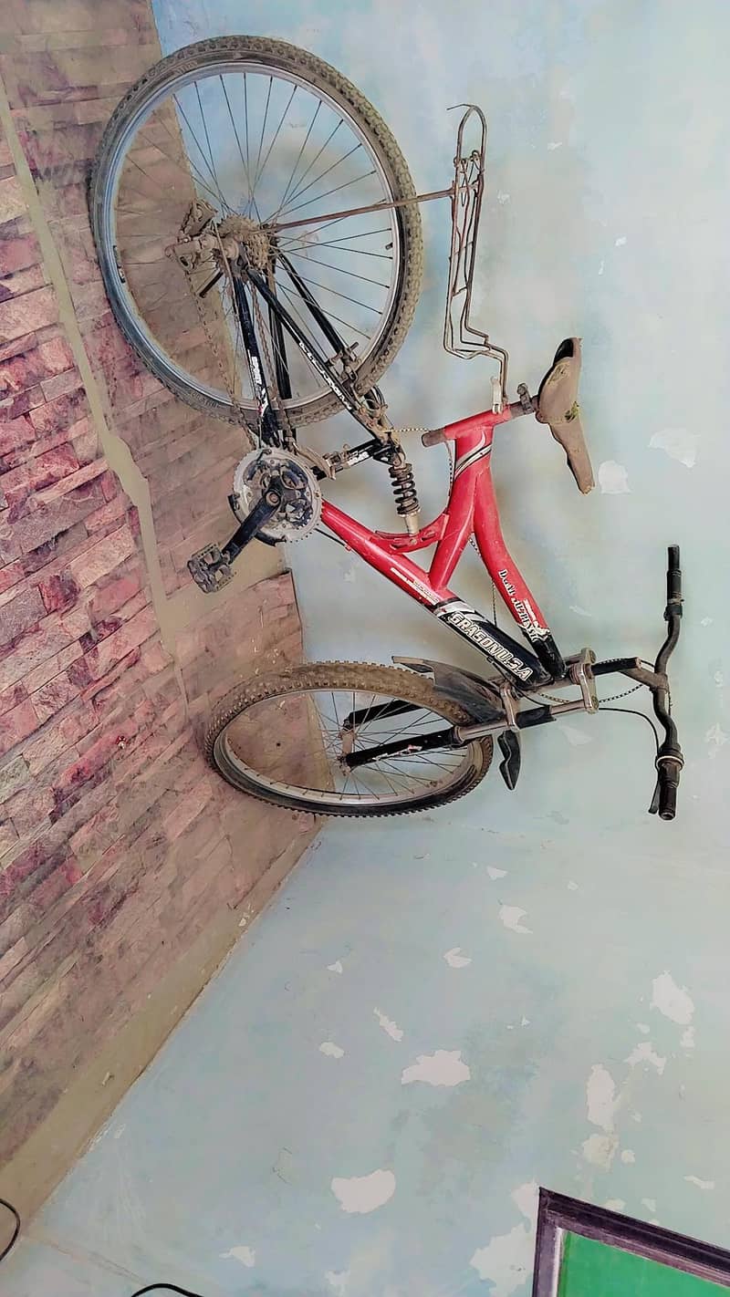 Bicycle 1