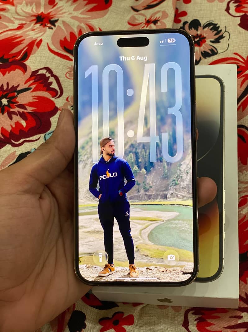 Apple iPhone 14 Pro Max 2