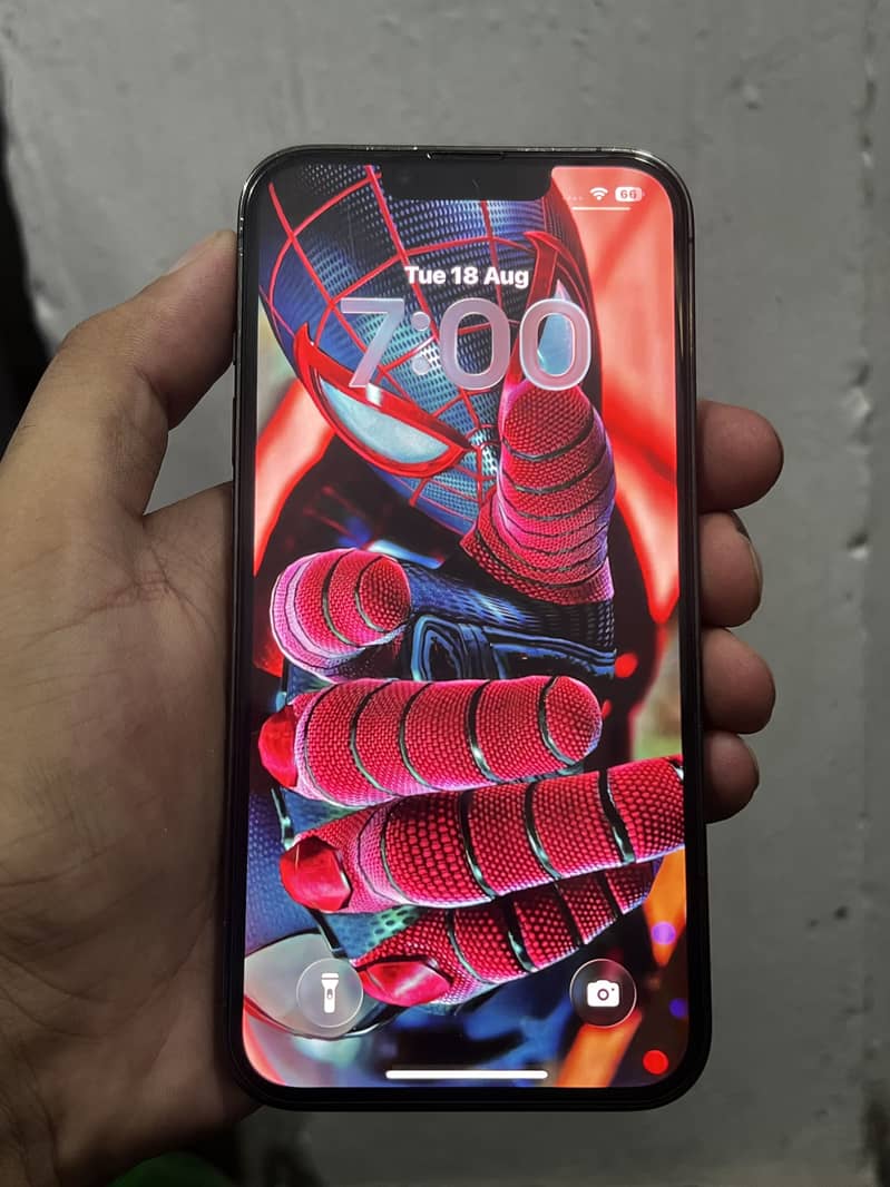 Apple iPhone 13 Pro 1