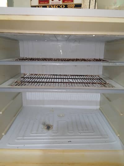 fridge