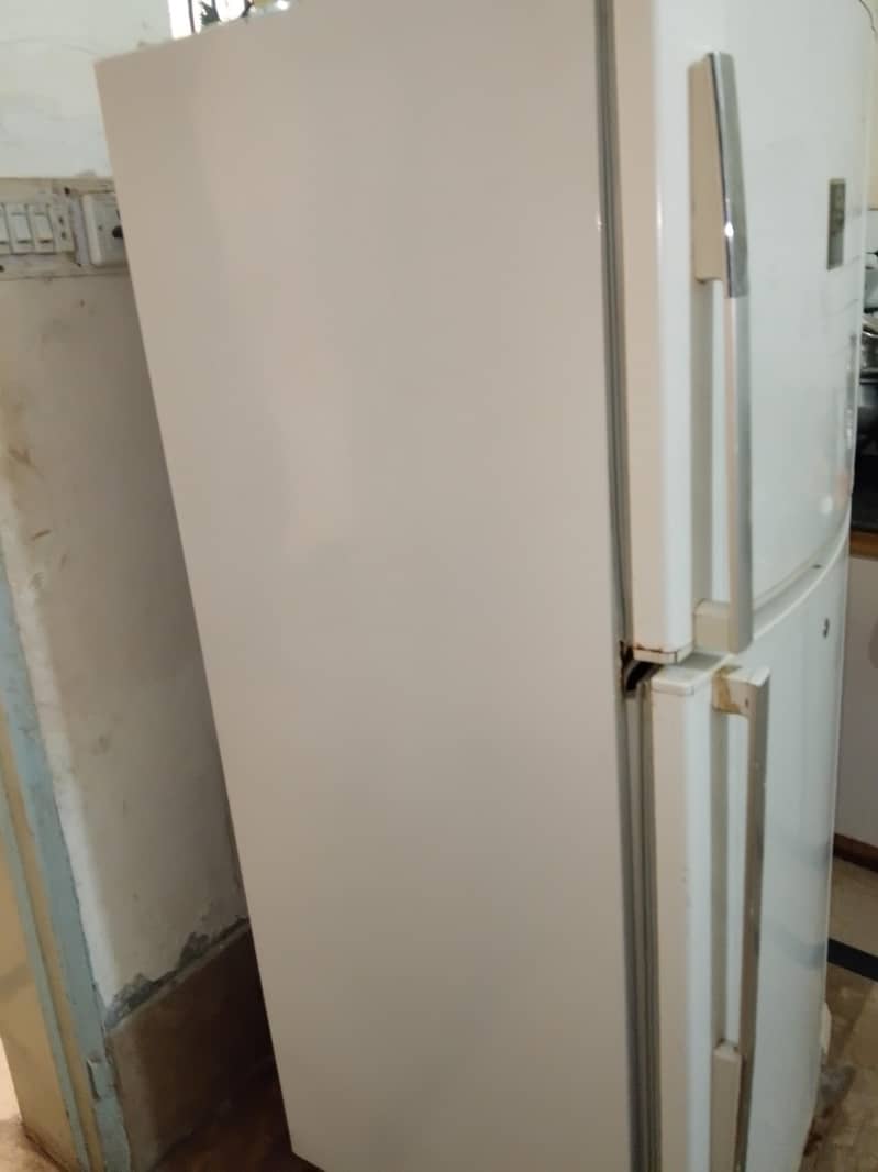 fridge 1