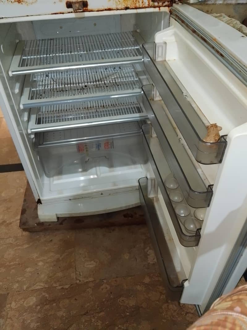 fridge 2