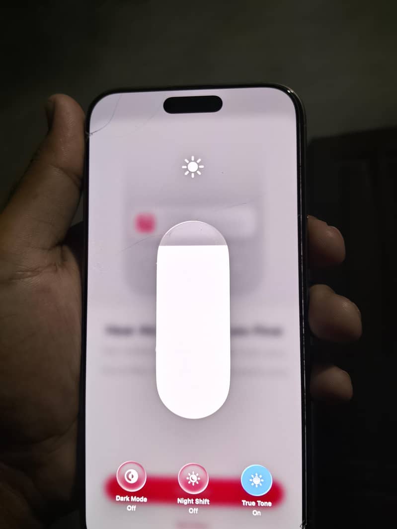 Apple iPhone 16 Pro Max 3