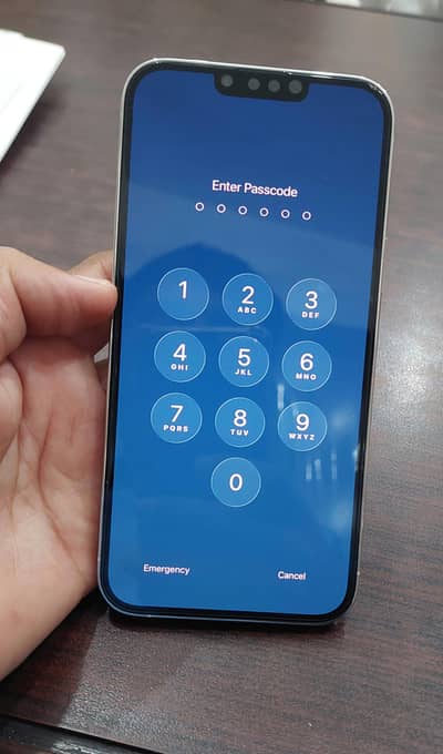 IPhone 13 Pro Max 256GB