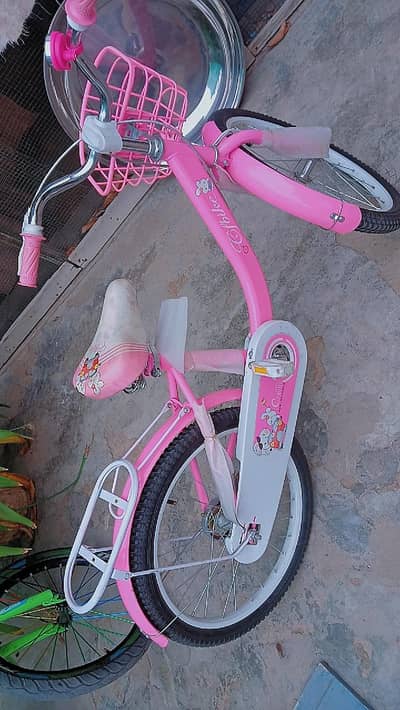 girl's cycle