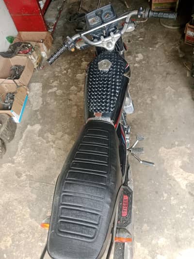 19 model