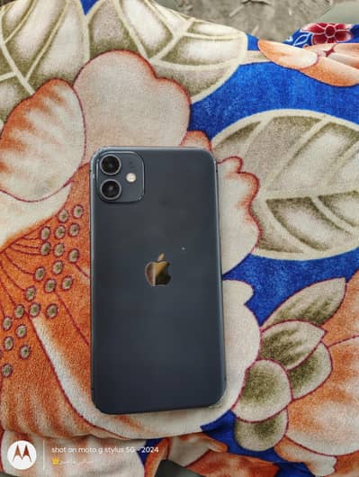 Apple iPhone 11 bilkul Fresh Peace
