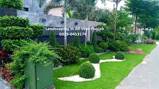 Garden Landscaping, korean Grass & Planting | Garden Design | in Pak