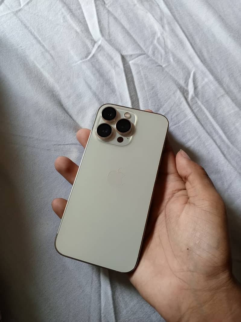Apple iPhone 13 Pro 0