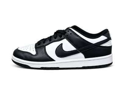 Nike dunk low Retro