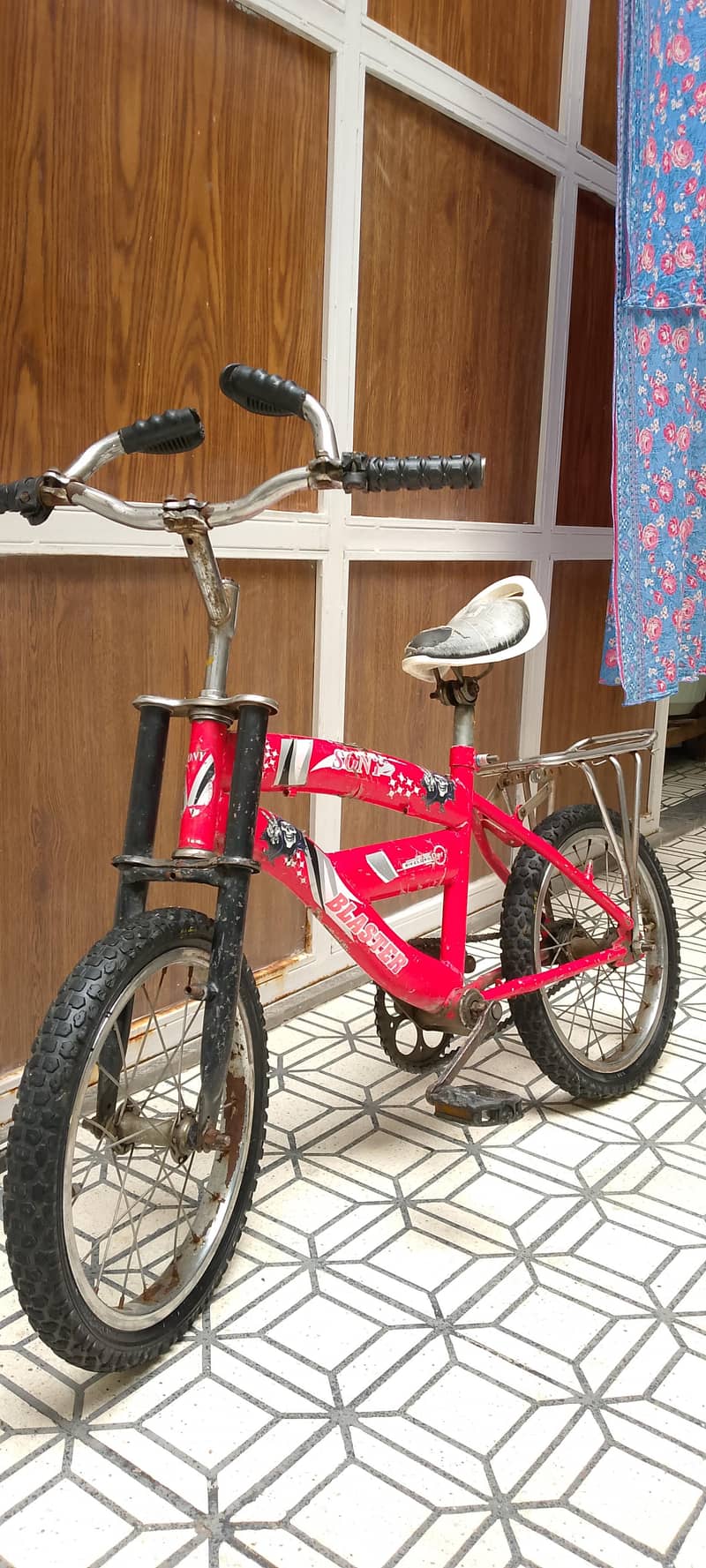 Bicycle 1