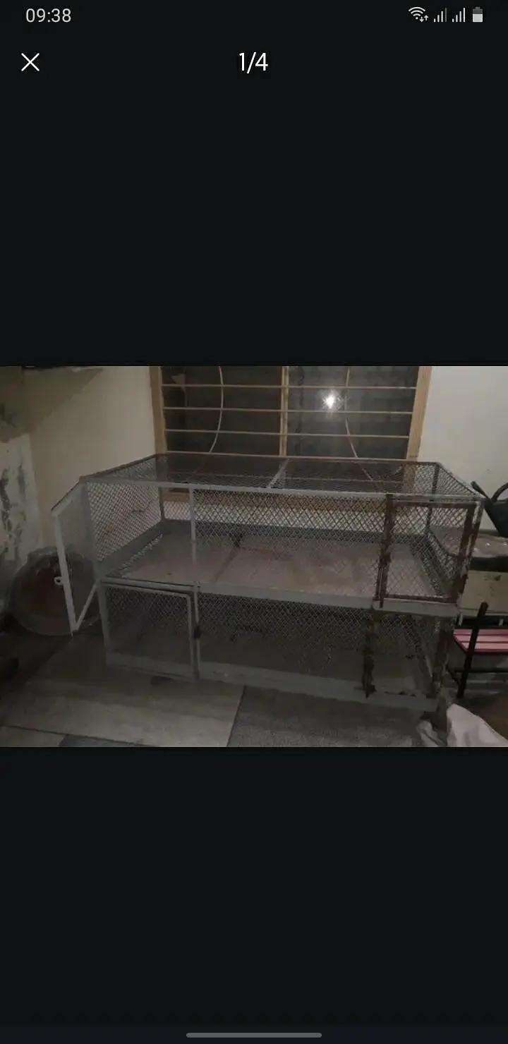 iron cage — photo 3