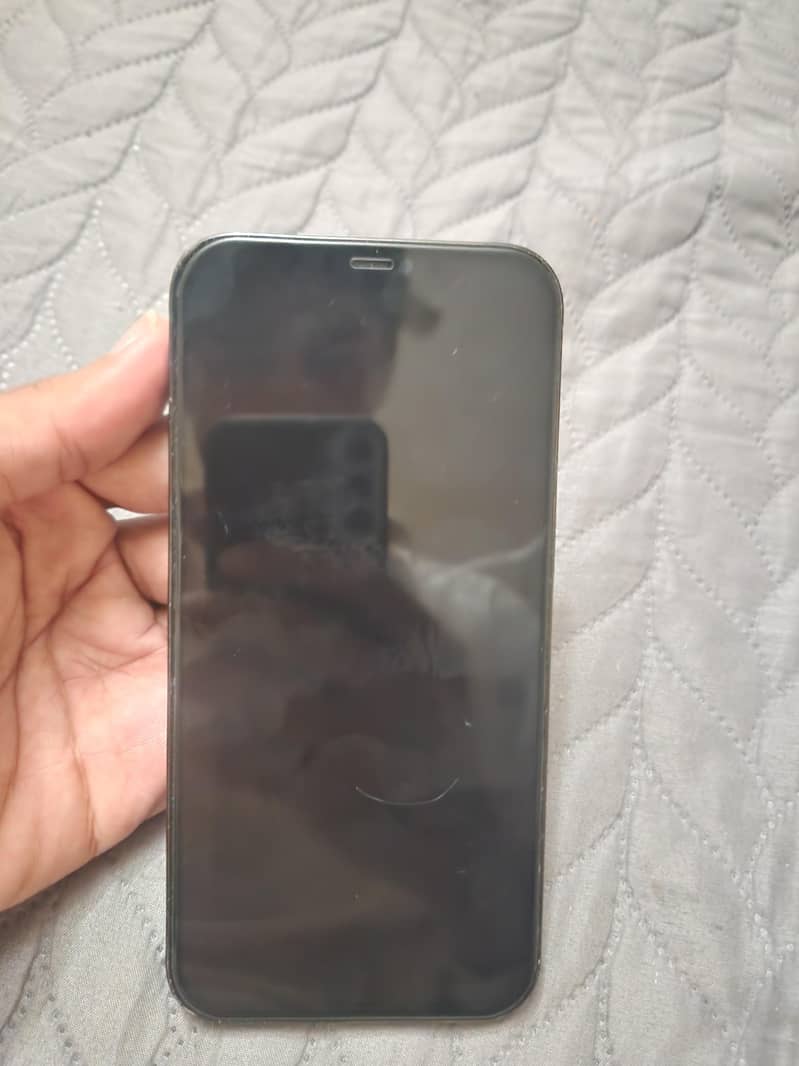 Apple iPhone 12 Pro Max 1