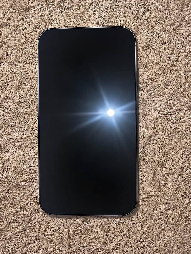 Apple iPhone 13 Pro Max 2