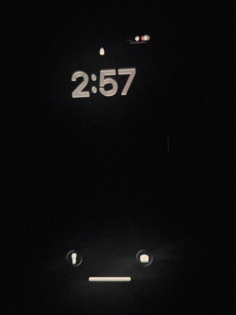Apple iPhone 13 Pro Max 3