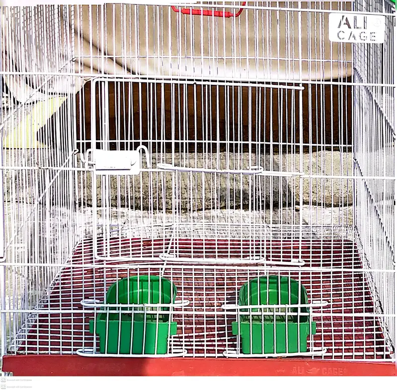 THREE CAGES FOR SALE IN RAWALPINDI — photo 3