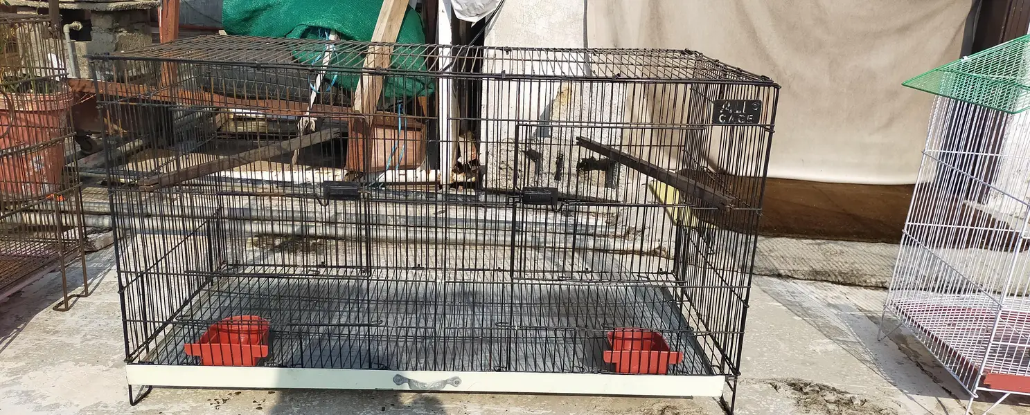 THREE CAGES FOR SALE IN RAWALPINDI — photo 7