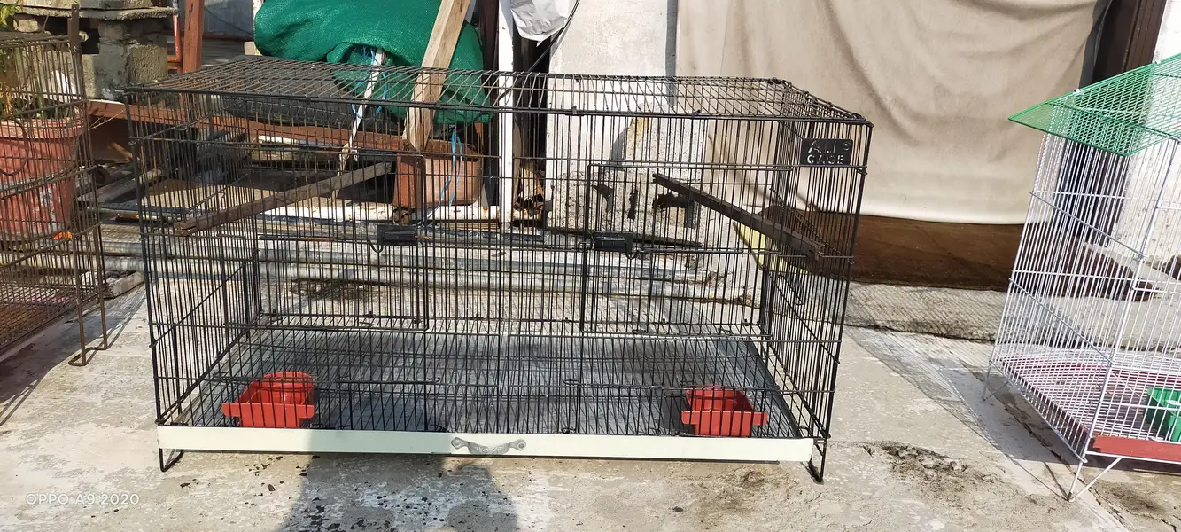 THREE CAGES FOR SALE IN RAWALPINDI — photo 9