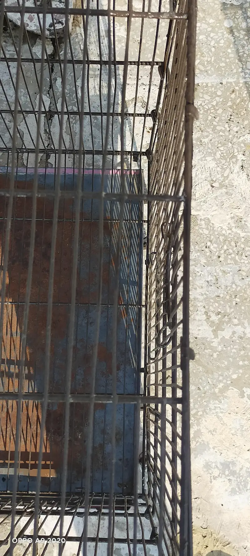 THREE CAGES FOR SALE IN RAWALPINDI — photo 10