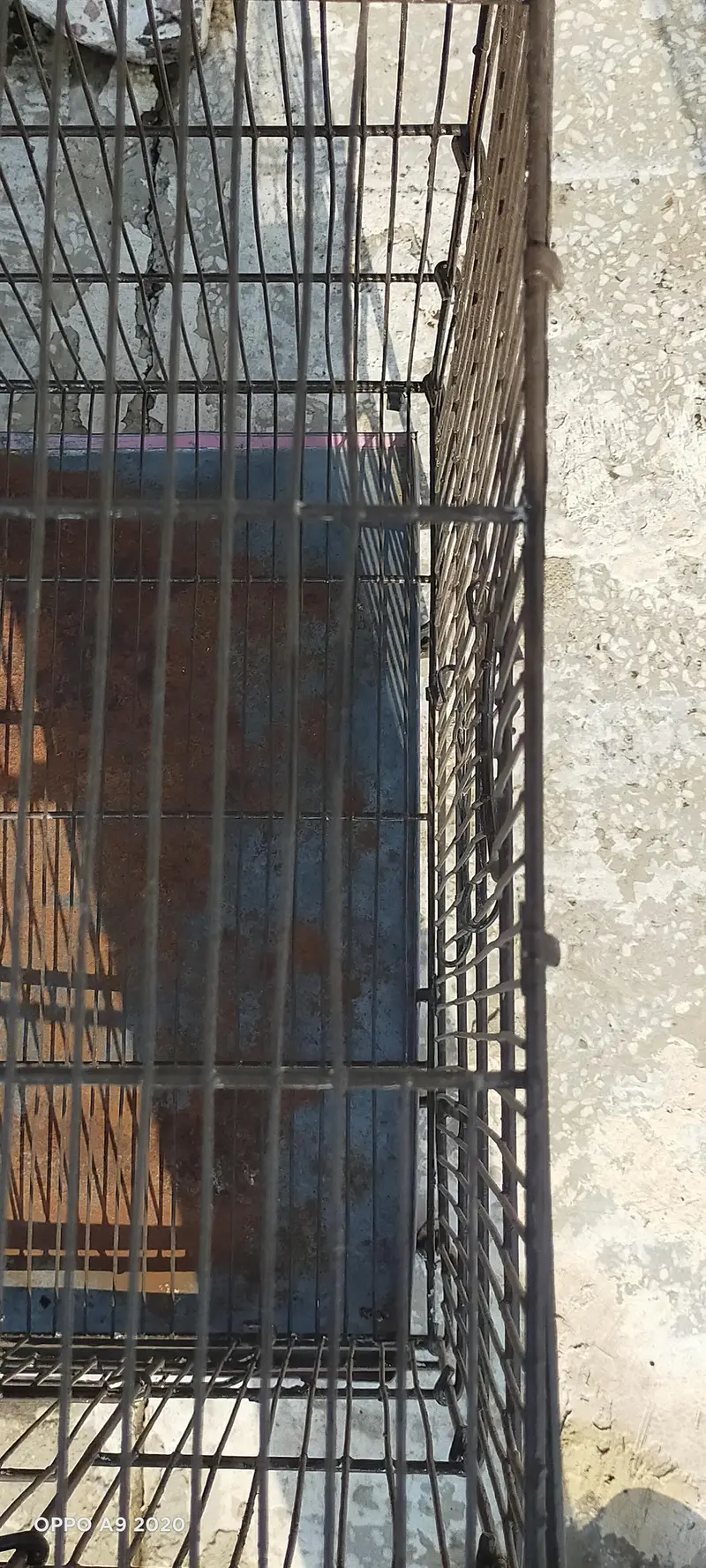 THREE CAGES FOR SALE IN RAWALPINDI — photo 11
