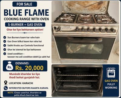 Blue flame Oven for sale