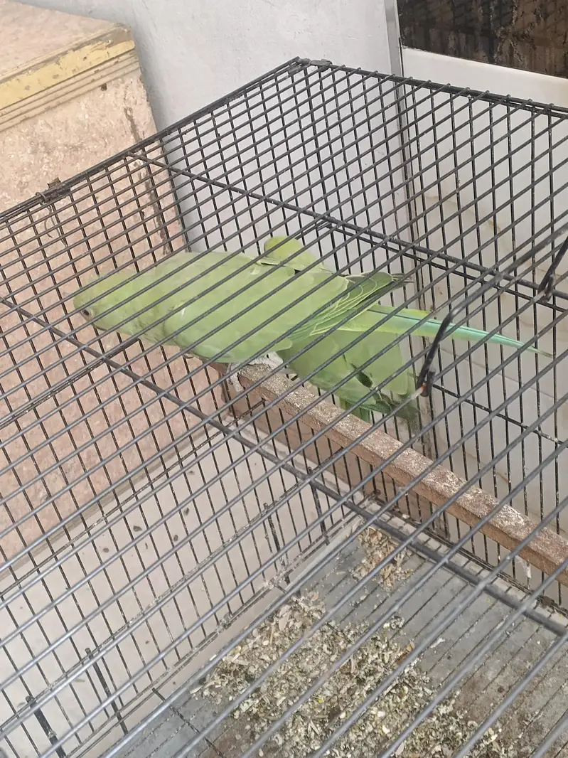 new baby — photo 2