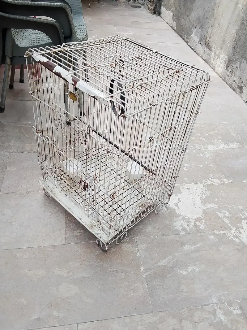 Parrot cage Heawy and Beautifull