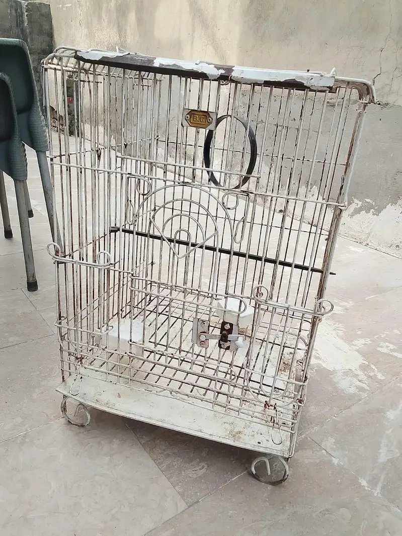 Parrot cage Heawy and Beautifull — photo 4