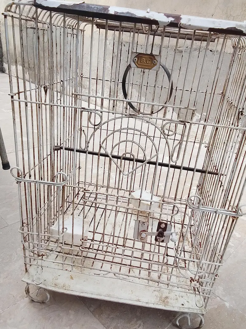 Parrot cage Heawy and Beautifull — photo 5