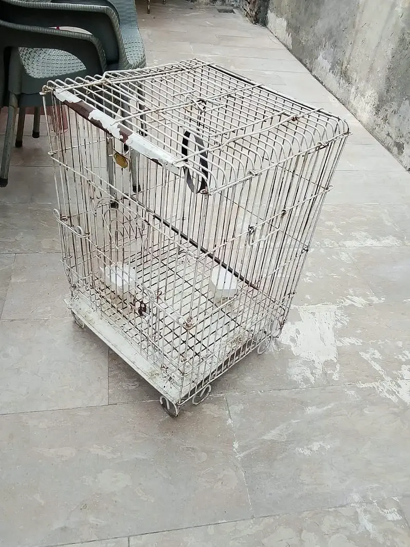 Parrot cage Heawy and Beautifull — photo 6