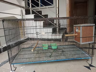 Cage with Breeding Box for sale
