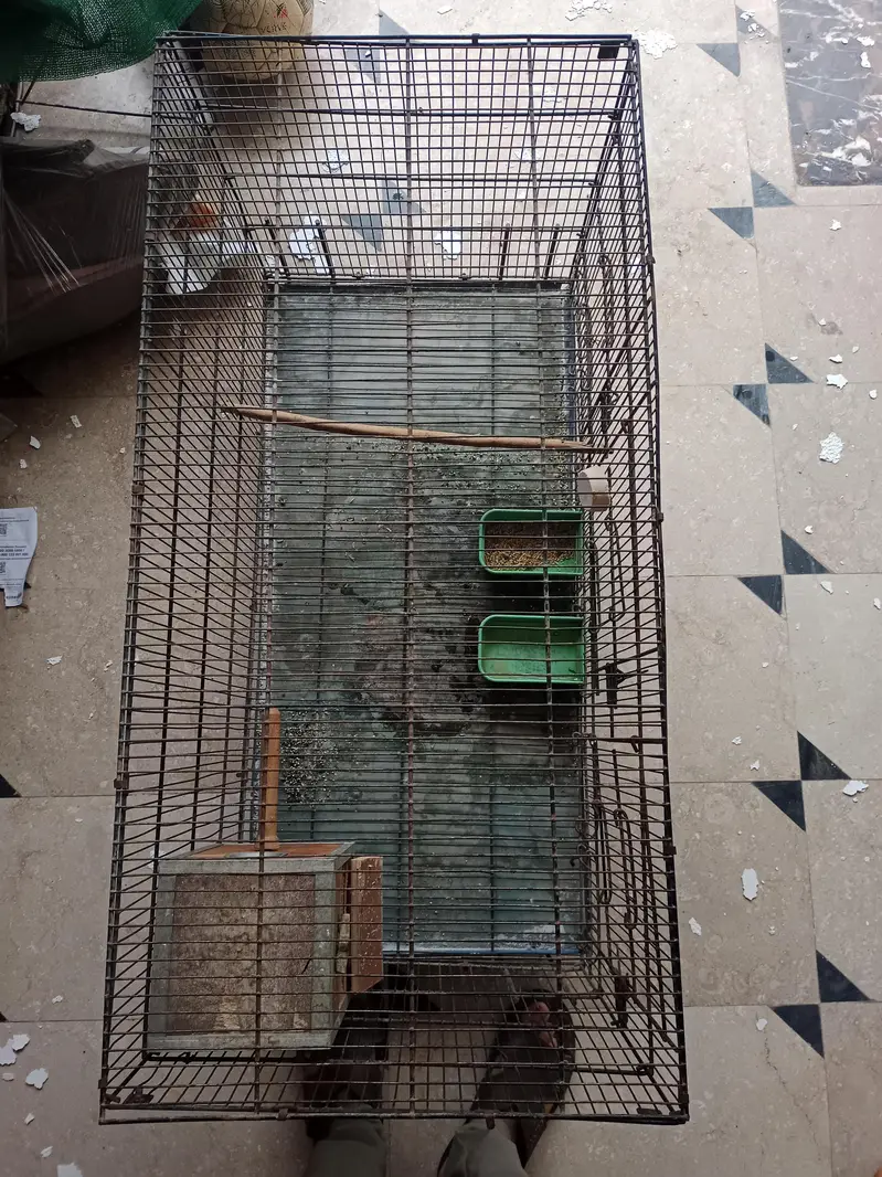 Cage with Breeding Box for sale — photo 4