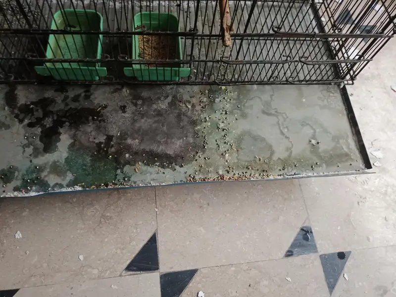 Cage with Breeding Box for sale — photo 6