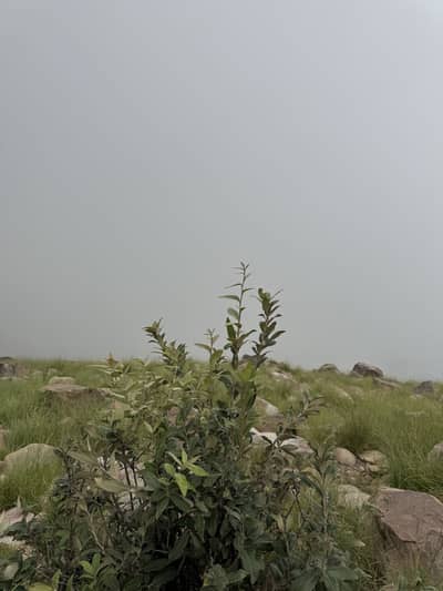 Baloch sahib