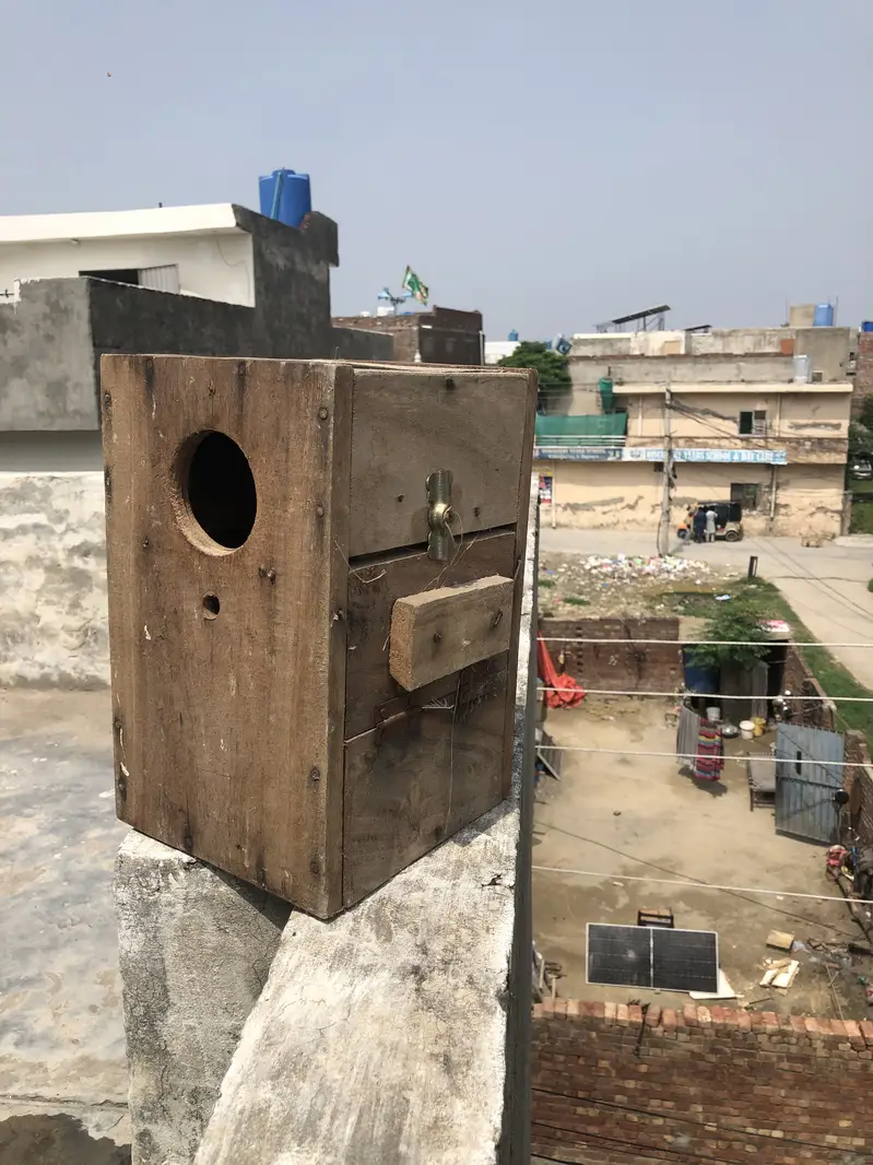 Birds house box’s — photo 2