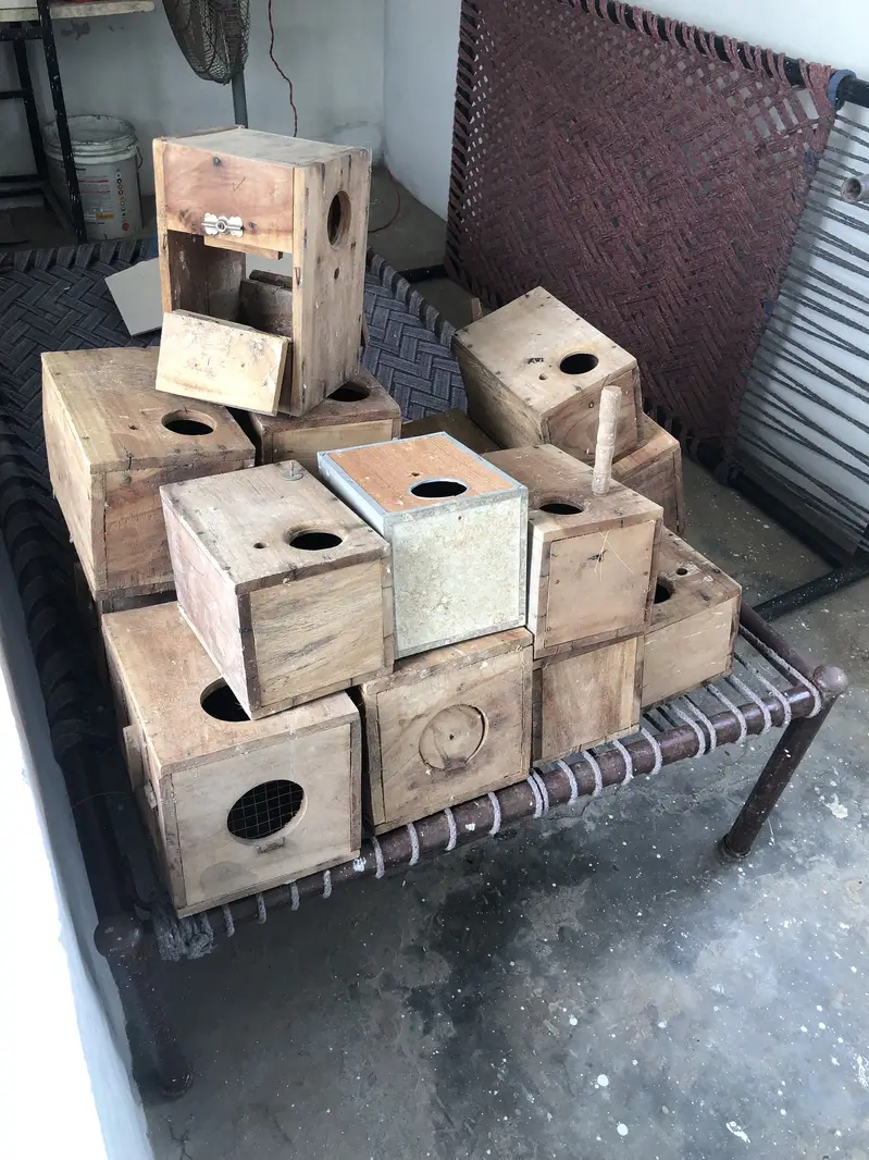 Birds house box’s — photo 3
