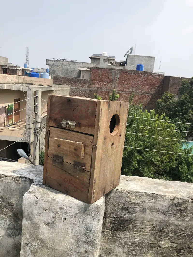 Birds house box’s — photo 4