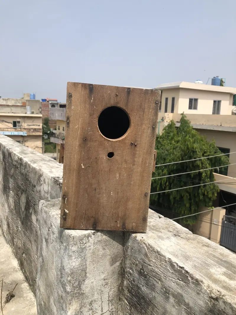 Birds house box’s — photo 5