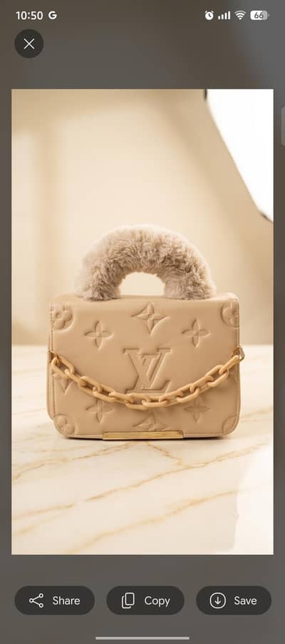 Louis Veton bag